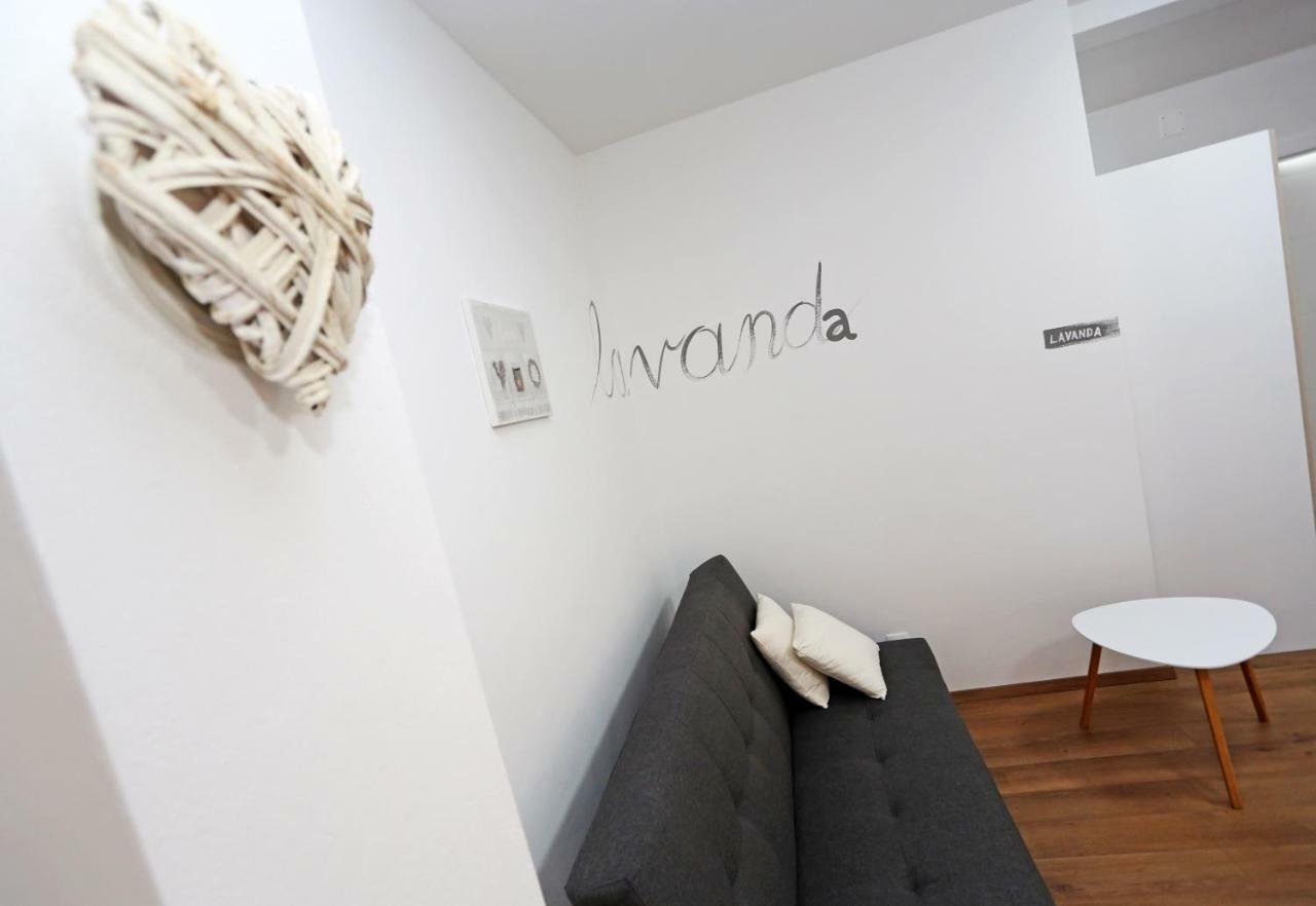 Guesthouse Villa Domenico Lozovac Bagian luar foto